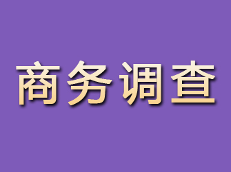 怀化商务调查